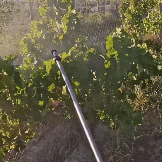 VitisGuard – Protecție pentru vița de vie | 250 ML