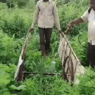 Erbicid total puternic | BioShield