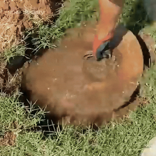 Bioactivator puternic pentru fose septice | FosaQ