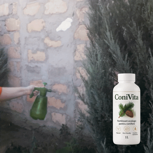 ConiVita – Fertilizant Tuia și Conifere BIO