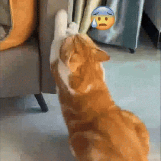 Stopurr – Repelent Pisici Nedorite