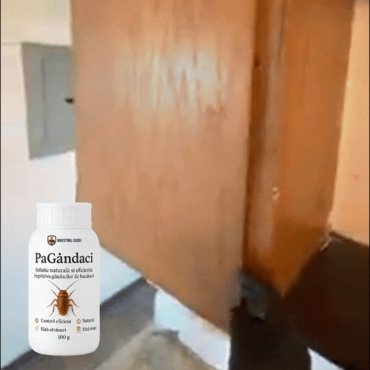 PaGândaci – Soluție împotriva gândacilor
