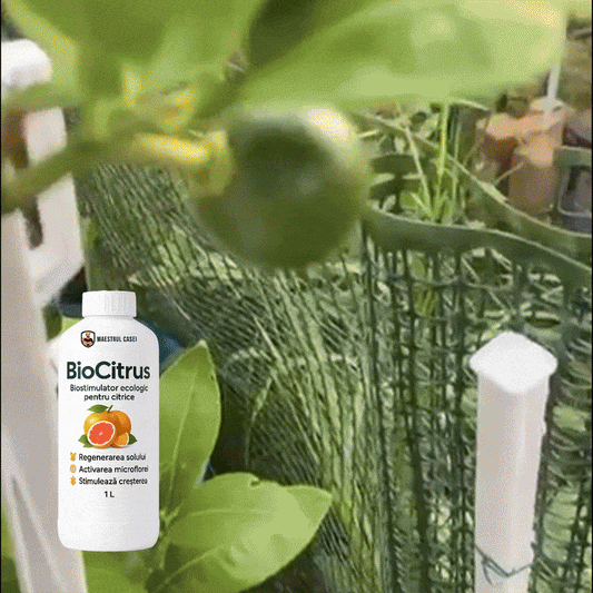 BioCitrus – BIOstimulator pentru citrice