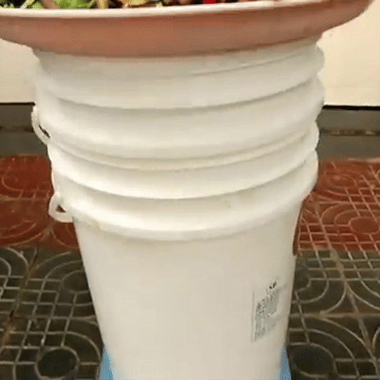 BioCompost - Accelerator compost