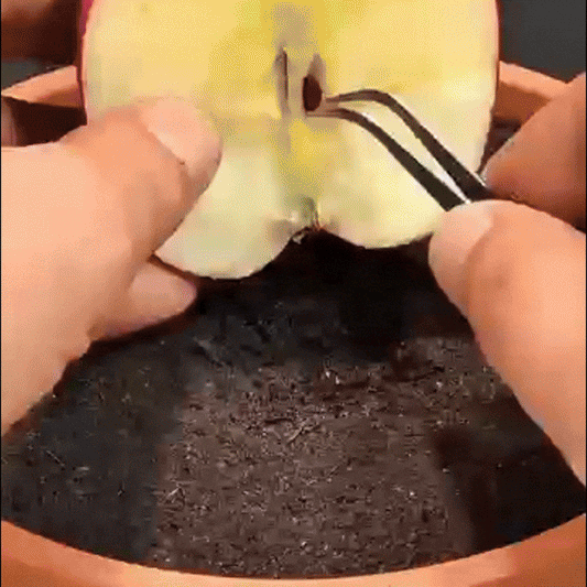 BioTratament - pentru pomi fructiferi