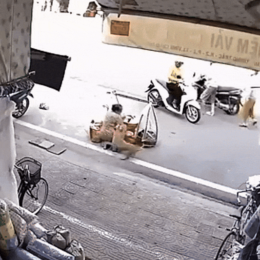 Sniffix – Repelent concentrat pentru câini