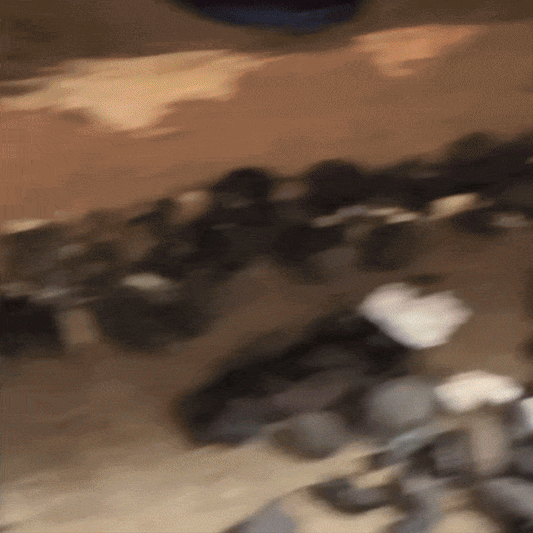 StopRat – Repelent soareci si sobolani