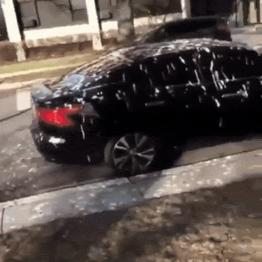 StopPăsări - Protecția invizibilă împotriva păsărilor