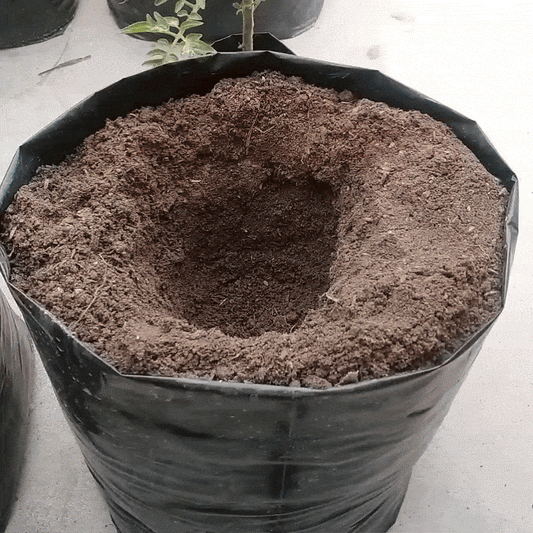 Fosforos – Îngrășământ fosforic granular | 5 kg