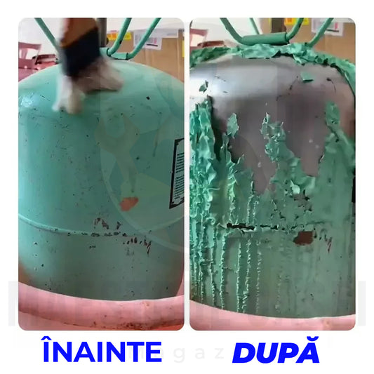 Spray decapant vopsea™