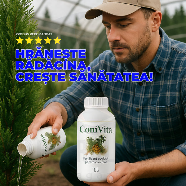 🌱 Hrana completă pentru coniferele tale