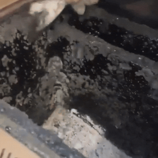 SprayHorn - Soluție ecologică antigudron