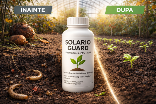 🐛 Ce dăunători stau în sol toamna și cum îi elimini înainte de primăvară