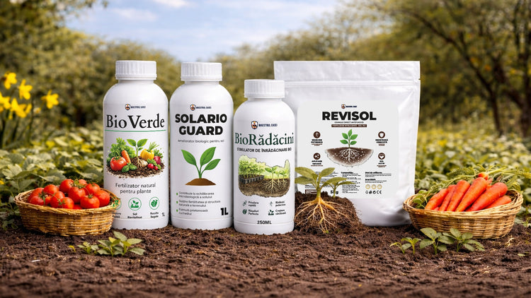 Începe primăvară cum trebe