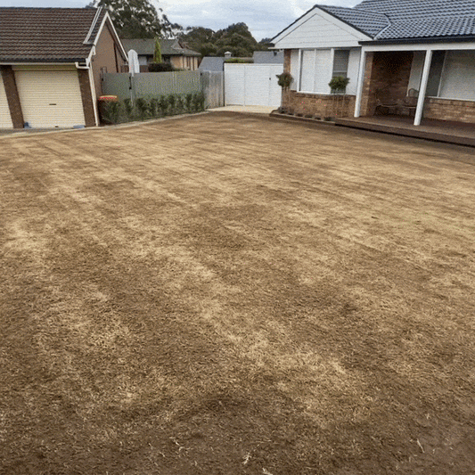 GazonPro – Îngrășământ profesional pentru gazon | 5 kg