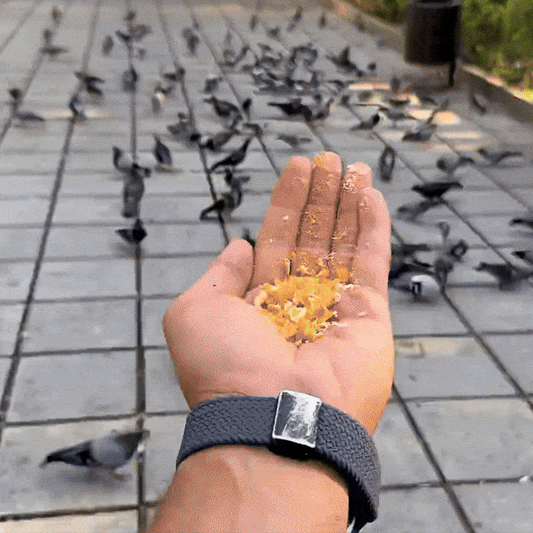 PorumGuard - Mix perfect de Minerale,pentru Porumbei | 200gr