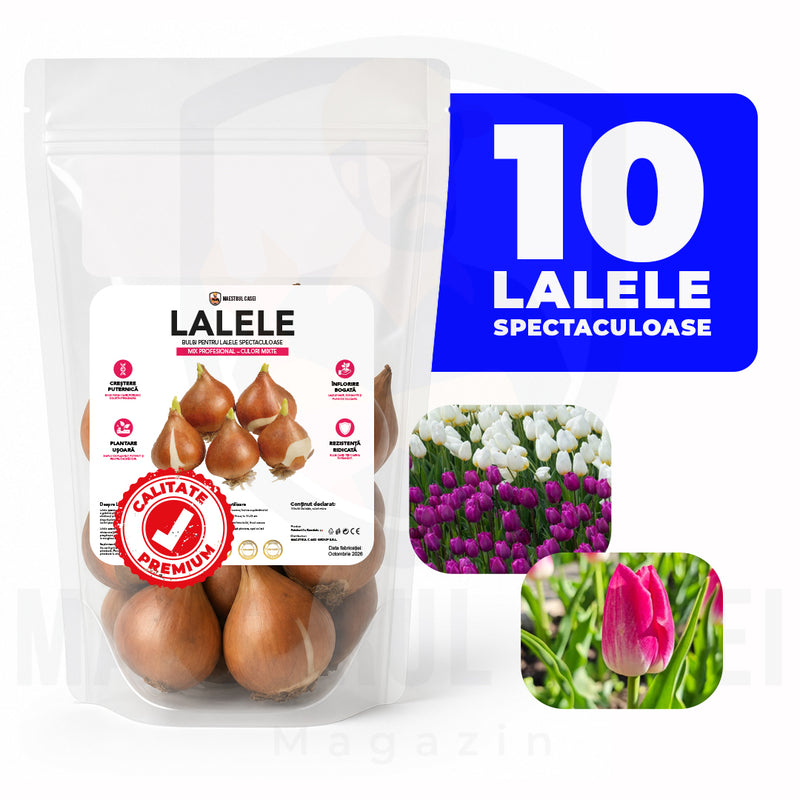 Lalele spectaculoase - Bulbi de lalele | Set 10 bulbi