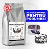 Premix PorumForte - Premix vitamino-mineral pentru porumbei | 1kg