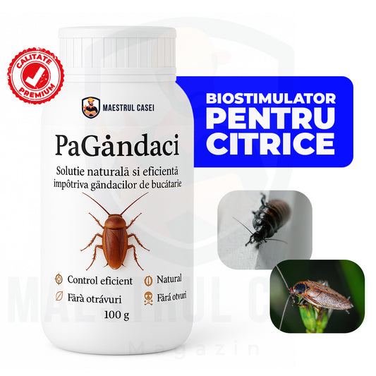 PaGândaci – Soluție împotriva gândacilor