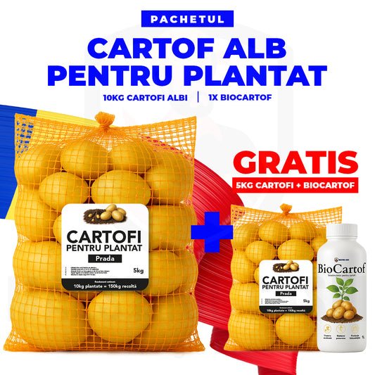 Pachetul Cartof Alb pentru Plantat – Recoltă bogată și sigură | 5+5 kg