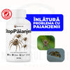 StopPăianjeni – Repelent BIO pentru Păianjeni | 100 ml