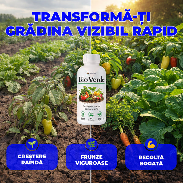 BioVerde™ – Îngrășământ Bio pentru Legume  1L