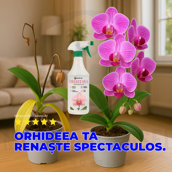 Orhidra - Îngrășământ lichid pentru orhidee