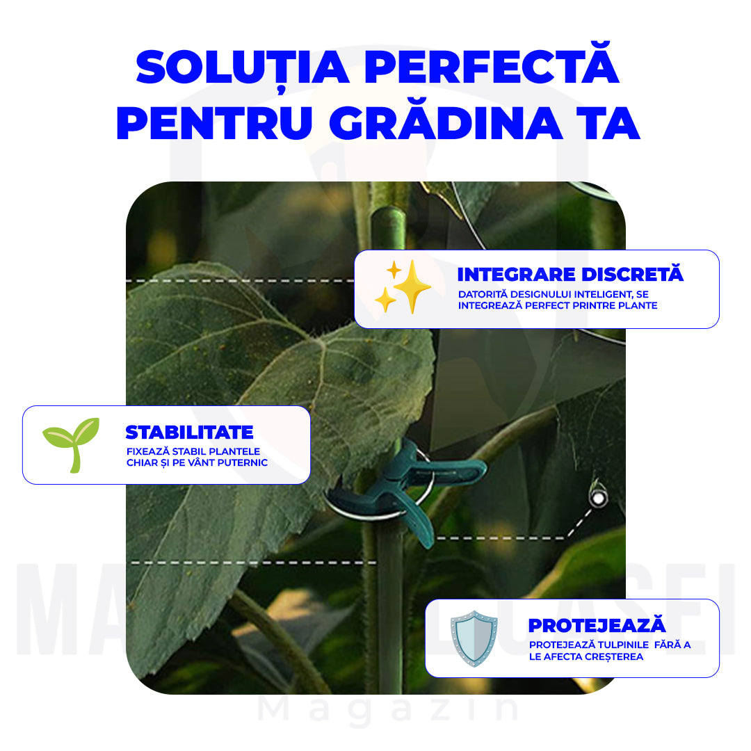 Set 100 Cleme pentru Plante