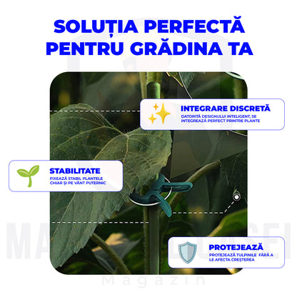 Set 100 Cleme pentru Plante