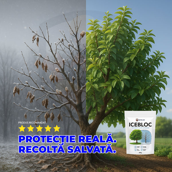 IceBloc - Protecție naturală împotriva înghețului