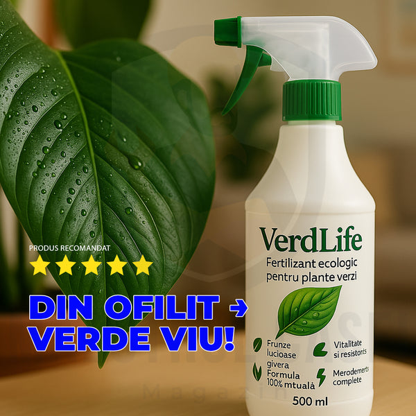 🌱 VerdLife – Viață și Vitalitate pentru Plantele Tale Verzi