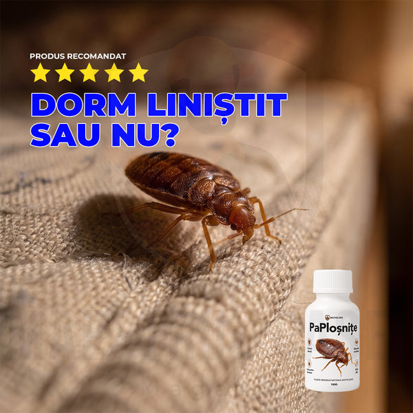 PaPloșnițe - Pulbere Minerală Naturală Anti-Ploșnițe | 100g