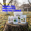 Pachetul Pomilor de Fier — protecție completă de iarnă pentru pomi