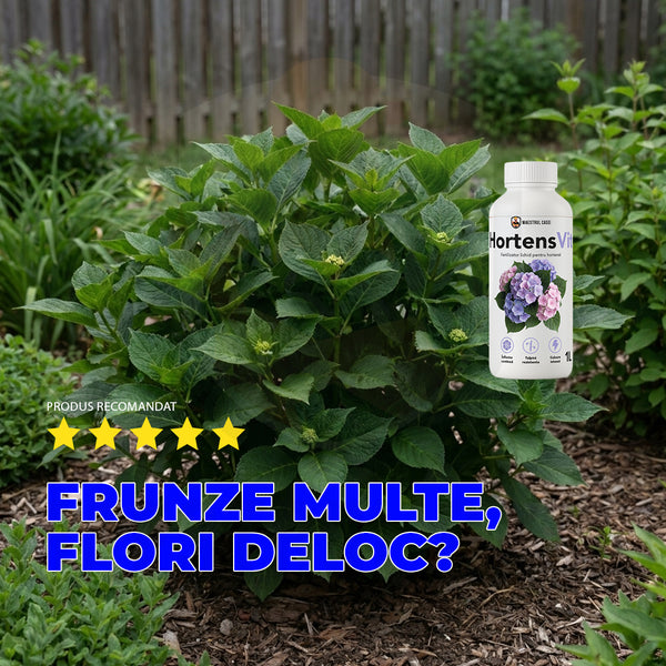 HortensVit — Fertilizator lichid pentru hortensii  1L