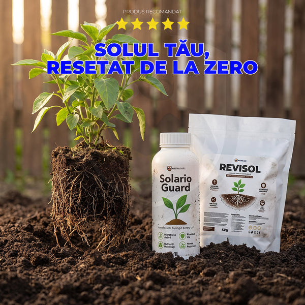 Pachet RestartSol 🌱
