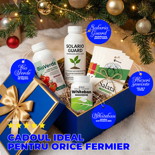 CHRISTMAS BOX – Cadoul perfect pentru pasionații de grădină