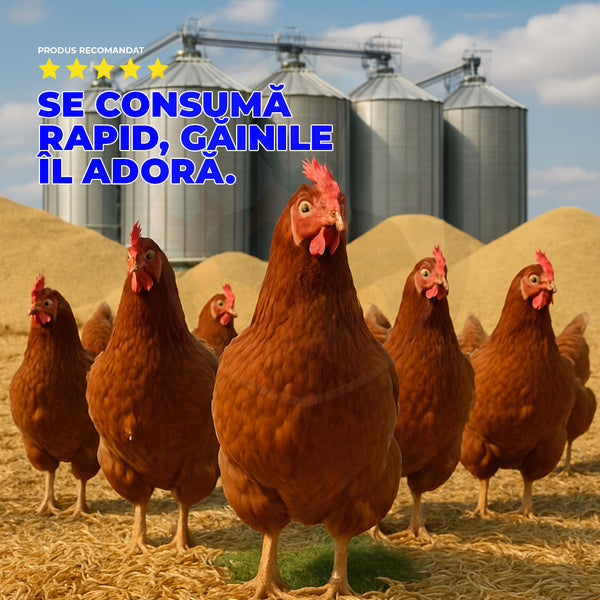 SĂȚIOS – Furaj concentrat premium