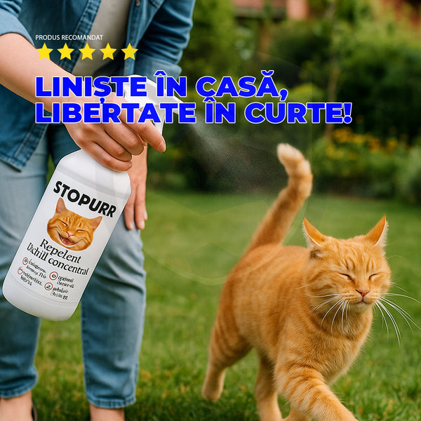 Stopurr – Scutul casei tale