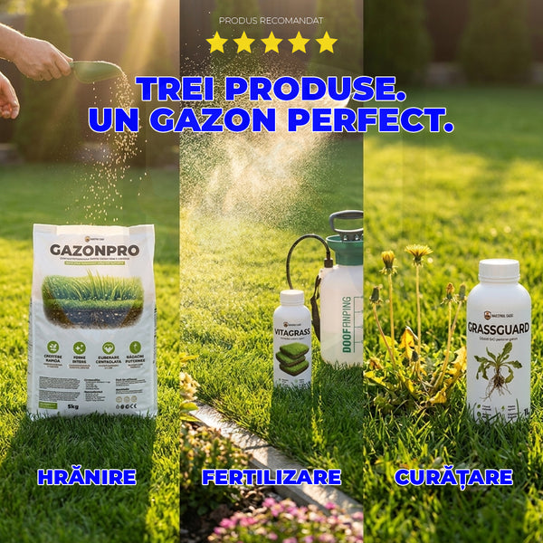 Pachetul Gazonului Perfect 🌱
