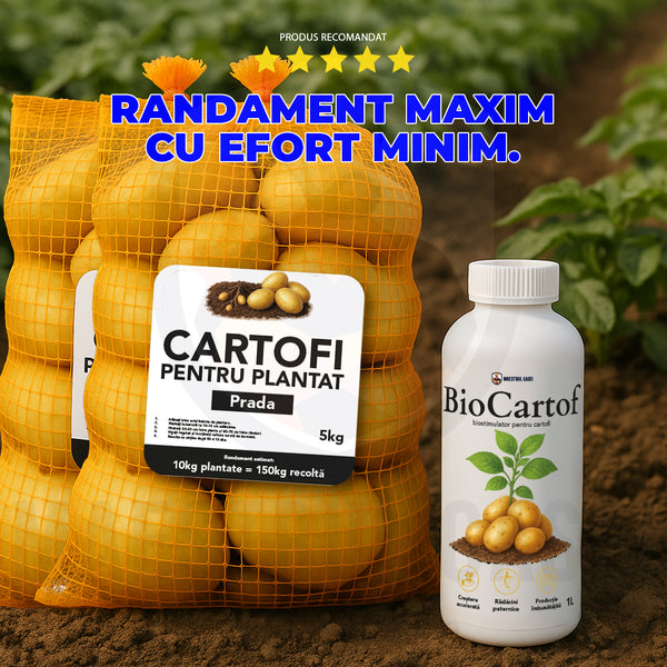 Pachetul Cartof Alb pentru Plantat – Recoltă bogată și sigură  10 kg