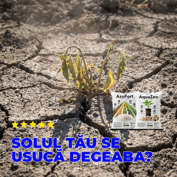 Pachetul AzoAqua — tehnologie completă pentru fertilizare eficientă | 2× 1kg