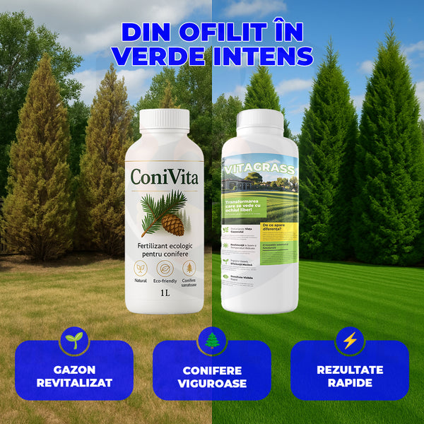 Pachet VerdeMax 🌿