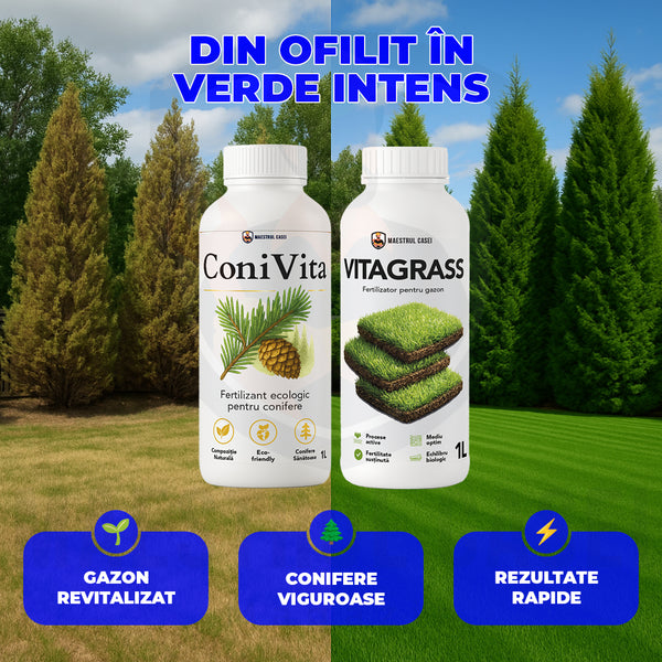 Pachet VerdeMax 🌿