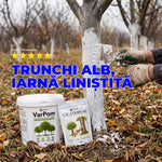 Pachetul Pomilor de Fier — protecție completă de iarnă pentru pomi