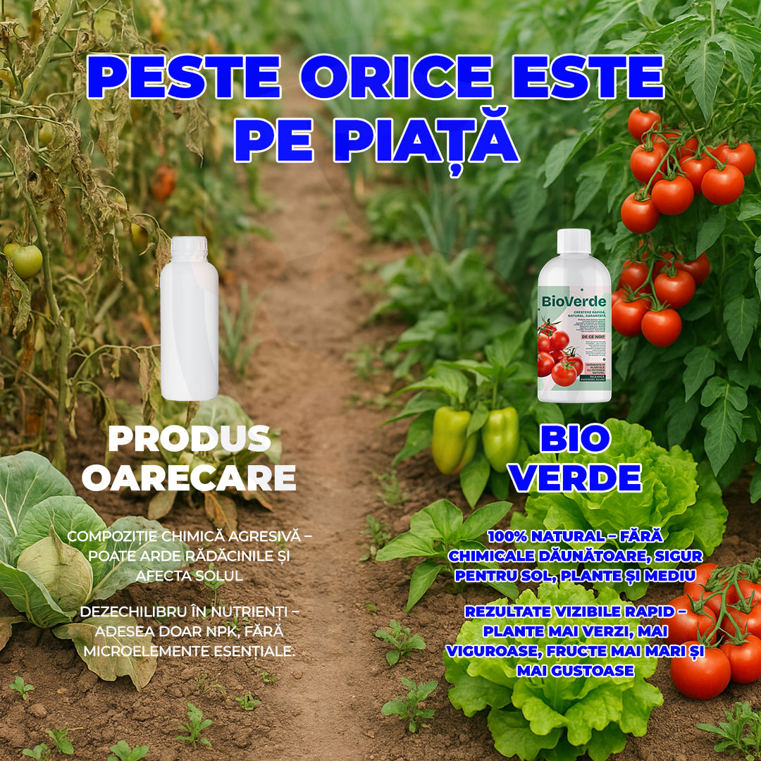 Ingrasamant | BioVerde™