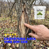 VarPom - Var profesional pentru protecția pomilor | 3KG