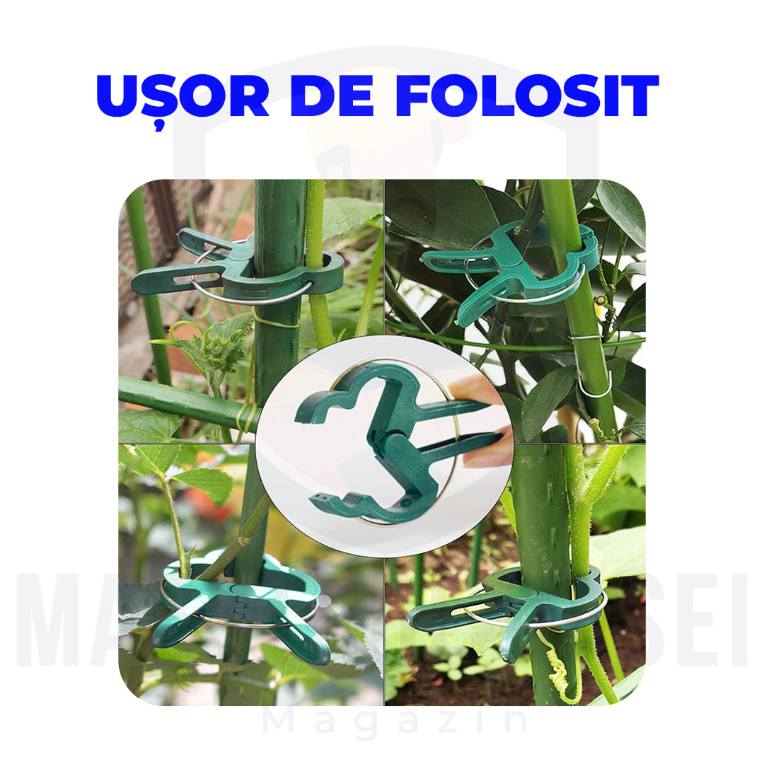 Set 100 Cleme pentru Plante
