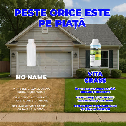 Fertilizator Gazon | VitaGrass