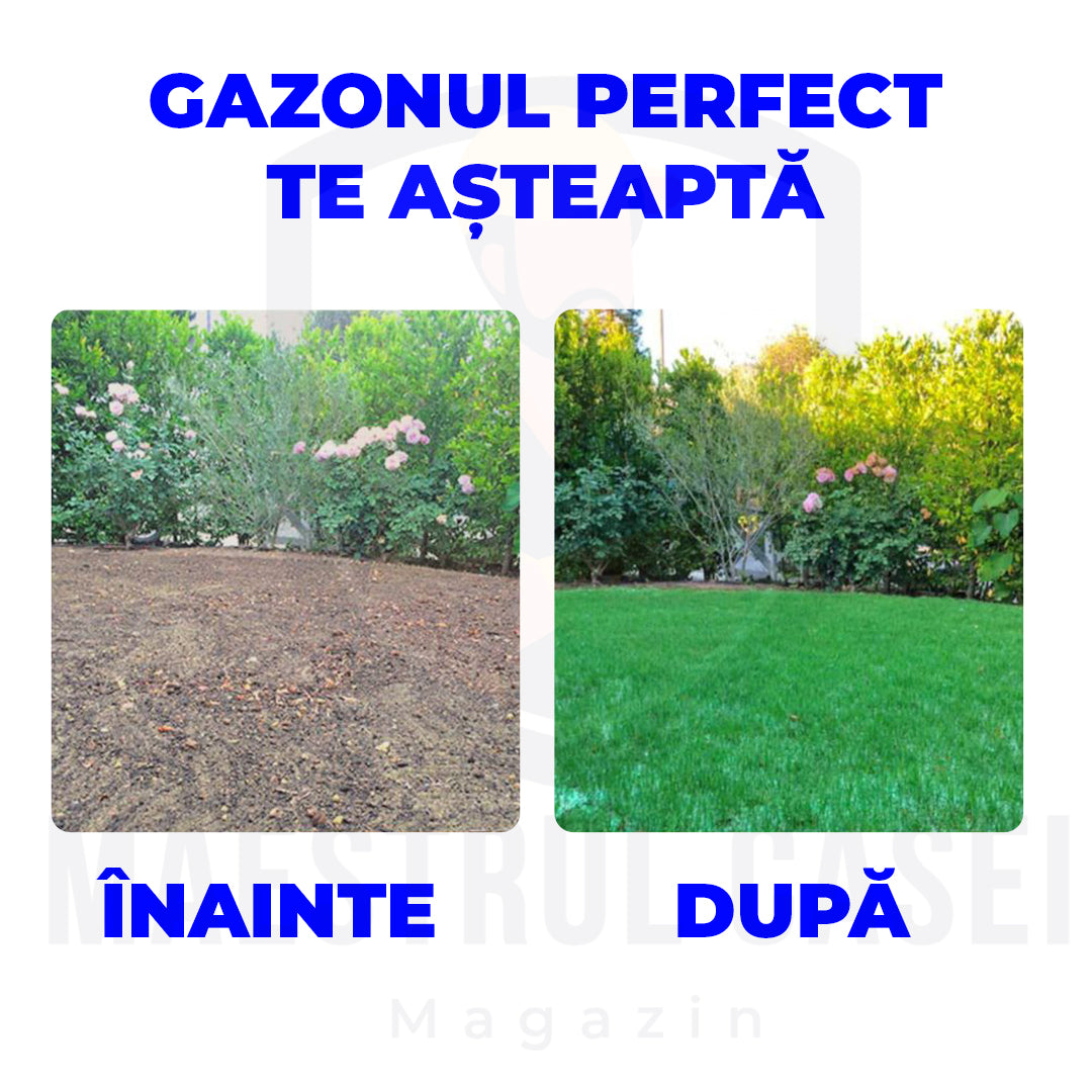 Rolă gazon cu semințe | VerdeMax