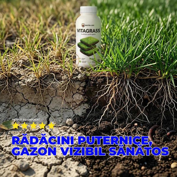 VITAGRASS – Fertilizator bio pentru gazon  1L